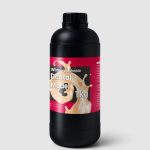 Phrozen water washable Dental model