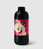 Phrozen water washable Dental model